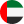 UAE Flag